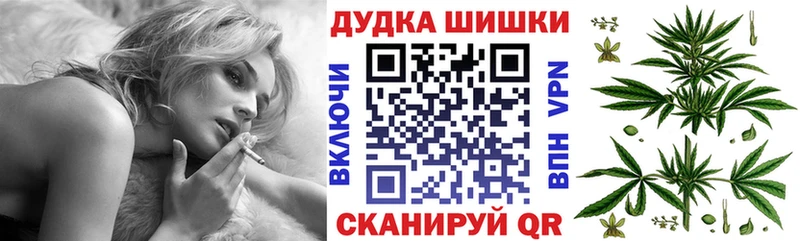 Псилоцибиновые грибы Дербент