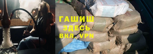 прущие грибы Алзамай