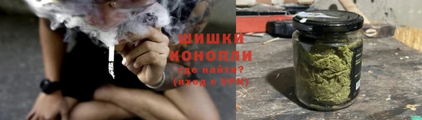 прущие грибы Алзамай
