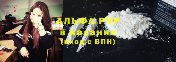 стаф Алексин
