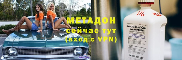 прущие грибы Алзамай