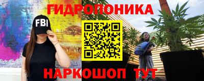 стафф Бийск