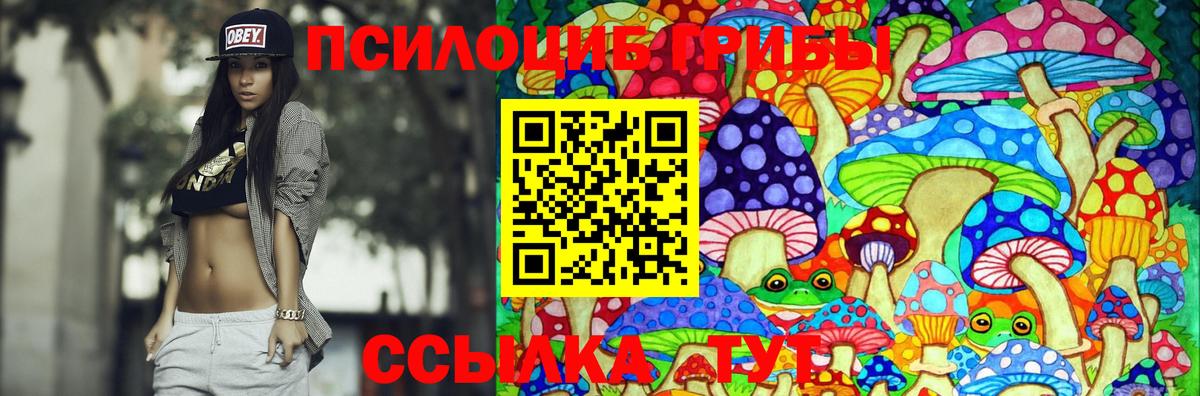 Псилоцибиновые грибы Magic Shrooms Дербент