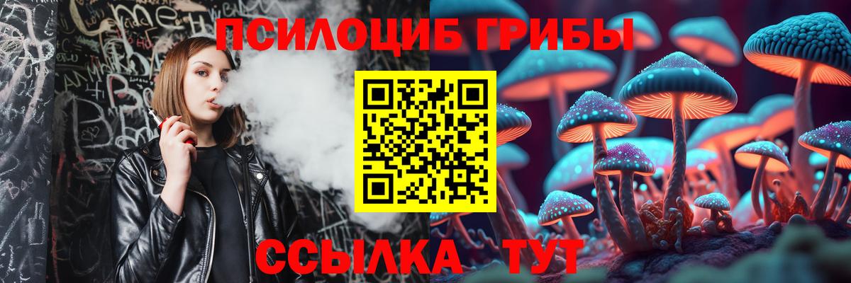 Дербент  Галлюциногенные грибы Cubensis  Вход с VPN 
